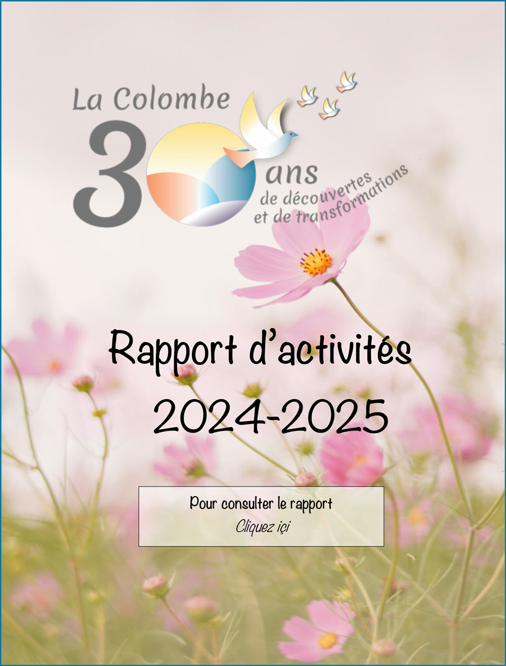 rapport